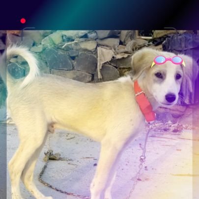 knowledgetrack2's profile picture. 