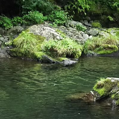 嘘は絶対つくな！と、亡き祖父母に教えられ生きています(*｀･ω･)ゞ

車のレストアや修理を生業としている修理工です。
日本をより良くする人を応援をしていきます。