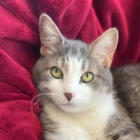 jash (@twigwrists) 's Twitter Profile