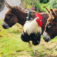 MaryJoanParc (@mizparc) 's Twitter Profile