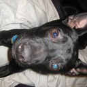 Meredyth George Hale - @MerAHale - Twitter