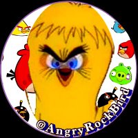 Angry Rock Bird(@angryrockbird) 's Twitter Profile Photo