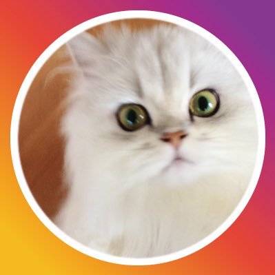 ねこつかい Meow Velous Twitter ねこつかい Meow Velous Twitter