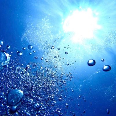 高校時代はサッカーで全国ベスト4。大学では理系に進むも向いてないことがわかり営業で就職。趣味はサッカー、スキューバダイビングPADI DM、スノボ、ジム、野球観戦(ライオンズ)、サッカー観戦(グランパス)、映画、カメラ、旅行。料理、海釣り、フォロー大歓迎!