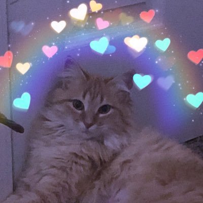 25 • she/her • don’t be a f*cking d*ck • idk what this acc is tbh
