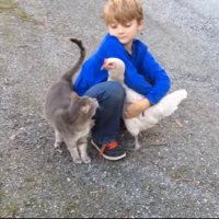 つばさです (@tgtq_q) 's Twitter Profile