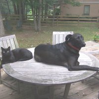 George Minde (@georgeminde2) 's Twitter Profile Photo