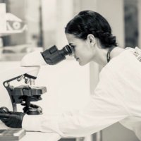 Dr Dana Vojisavljevic, PhD (@drdanav) 's Twitter Profile