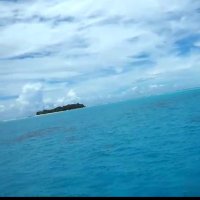 ひよひ (@hishisuu) Twitter profile photo