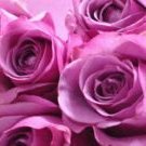 ケイティ (@kayyttea) Twitter profile photo