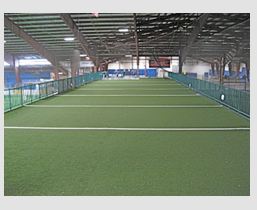 ParisiSpeedUSTC's profile picture. Speed, strength, success - Training to Win