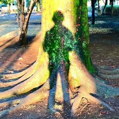 hickory_lemon's profile picture. SDGs、エコやリサイクルに関して、今すぐ始められるちょっとしたアイディアを発信共有。#SDGs #今すぐ出来ること #完璧を目指さない持続