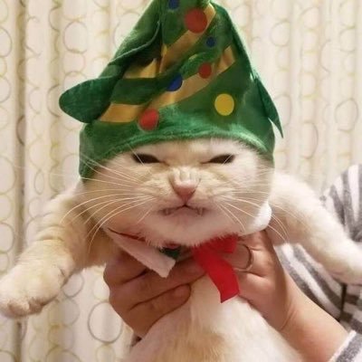 DomenicaGigli's profile picture. 