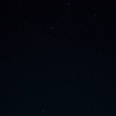 youngbossinak's profile picture. 