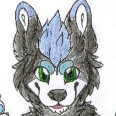 Wolf - Music fan - Potato - furry - They/Them - Disney fan.