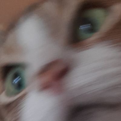 DSipapi's profile picture. 