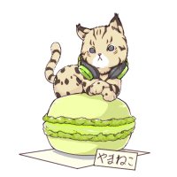 やまねこ (@nek0edit) 's Twitter Profile