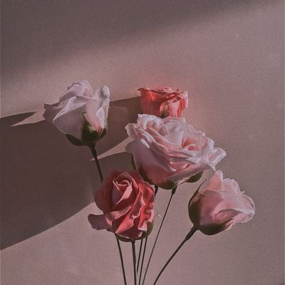 S5tveztup0Ov1Aq's profile picture. 