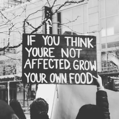 HarjotMander's profile picture. 