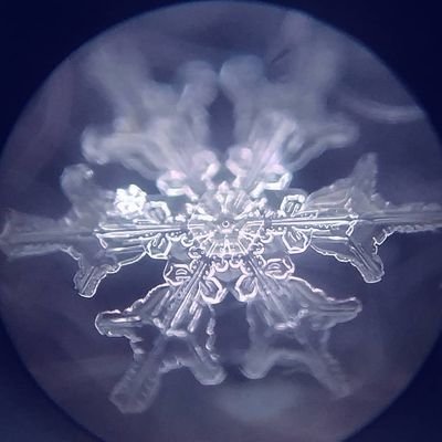 池や湖沼の結氷を中心に，雪と氷の研究をしている大学院生です．冬は北海道北見市内の野付牛公園で観測を行なっています．雪と氷と寒さを科学的に扱う研究室に所属しているので、関連する気になる現象を見つけた際には気楽にご連絡いただけると嬉しいです。