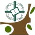 CD Los Olivos FS (@cdolivos) Twitter profile photo CD Los Olivos FS (@cdolivos) Twitter profile photo