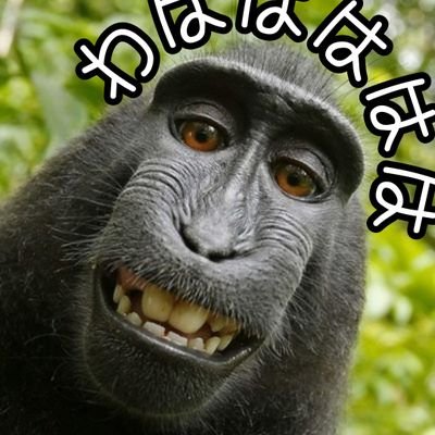 世界の おもしろ動画 21 V Twitter これはマジ動画 ああ 津波って ほんと近付いたら駄目だ
