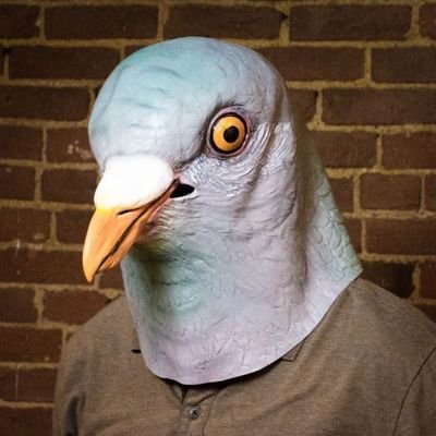 pigeoncolombin's profile picture. 
