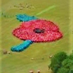Proud Chairman of RBL Galanos Branch.
Man at large and trouble-shooter for Royal British Legion St James's a National District Branch. 🇬🇧