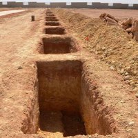 الراحلة ركب الغرباء (@alraheleh) 's Twitter Profile