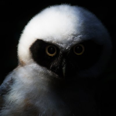 LiamD7's profile picture. Du sport et des pâtes.