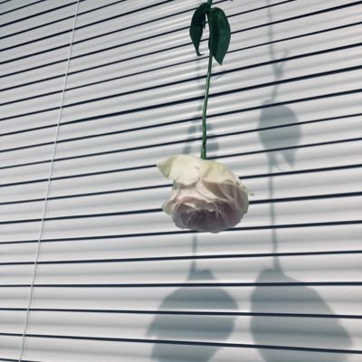 4wwiii7's profile picture. 