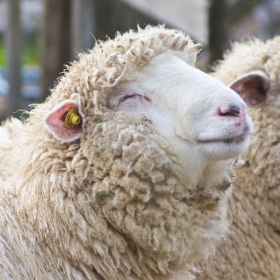 mamapr001's profile picture. 元婚活垢でした。旧帝卒。経営。202109〜大学後輩の👨‍⚕と結婚前提でお付き合い→202112無事結婚いたしました👰‍♀