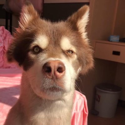 hmmm3012's profile picture. 