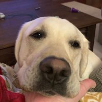 motyMAMA (@amotymag) 's Twitter Profile