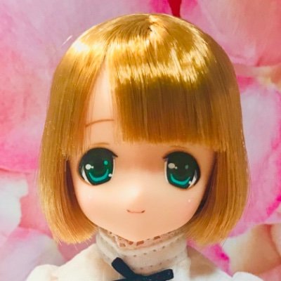 ドールと日常アカウント。
お気軽に絡んでください。
フォローなどご自由に^_^
サアラズアラモードのアリサ推し。