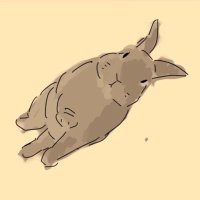 Healing Rabbit (@healing_rabbit) 's Twitter Profile