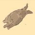Healing Rabbit (@healing_rabbit) Twitter profile photo Healing Rabbit (@healing_rabbit) Twitter profile photo