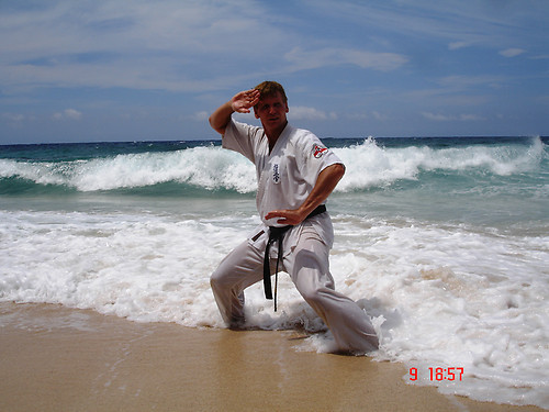 I am a 7th Dan karate and chairman of the Dutch and European Kyokushin Organisation. I am traveling around to give seminars, camps and examinations.