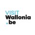 Wallonia (@WhyBelgium) Twitter profile photo