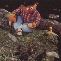 tbloke (@davekjokay) 's Twitter Profile