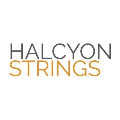 Halcyon Strings create live bespoke musical entertainment for those all important moments at all events and occasions. #Weddings #Events #Quartets #LiveMusic