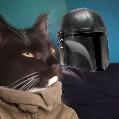 GhostCatThunder's profile picture. Ing IPN, catlover, mage lvl 70 😼 Practicando cacería deportiva de chairos desde hace 13 años.

                                      Ig: @thefat_ulii