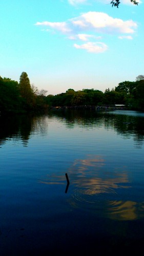 Ysto_classics's profile picture. 