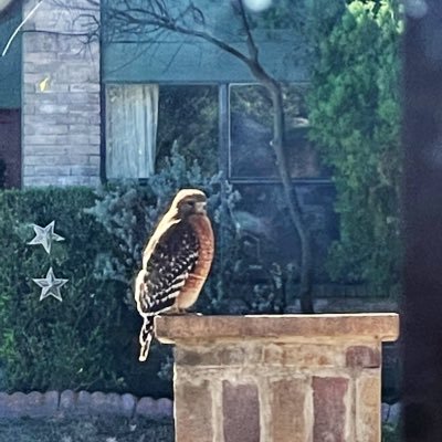 JayAndr40966453's profile picture. Who gives a hoot, just get your tweet on.