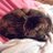 Manu_Mtp's profile image