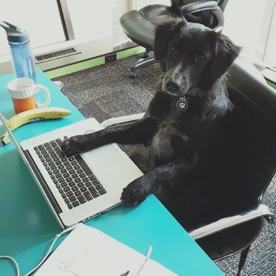 Quaziii's profile picture. I play tag and you're IT for life.

💻  Software Engineer
🐕 Dog Dad
🇺🇸 Americorp Alumni
🎓 Biomedical Physicist
🇧🇩 Eldest child of immigrants