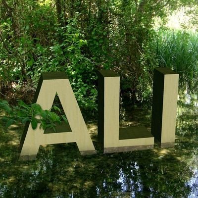 Ali_Alkilani1's profile picture. 