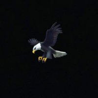 Mbakeh Sillah (@mbakeh8) 's Twitter Profile