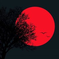 Beyaz Zambak (@dalksezen) 's Twitter Profile Photo Beyaz Zambak (@dalksezen) 's Twitter Profile Photo