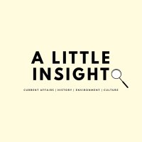 A Little Insight (@alittleinsight_) Twitter profile photo